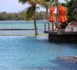 Ile Maurice : Constance Le Prince Maurice, une certaine idée du paradis terrestre 