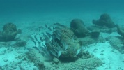 MUSA-Cancun-Underwater-Museum.mp4