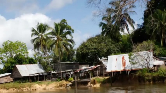 Un patrimoine extraordinaire, la biodiversité du Parc Amazonien de Guyane