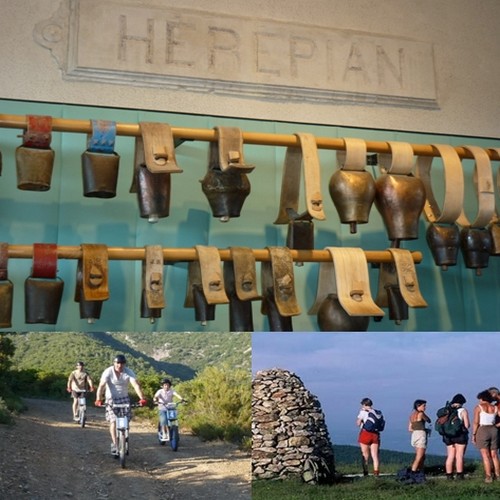 En haut : Musee de la cloche et des sonnailles Herepian; © Julie Noclercq; En bas : Balades en trottinette ou vélo électrique;  © O.T. Caroux; A droite : Les Marcheurs du Caroux © O.T. Caroux;