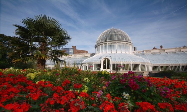 La serre de palmiers des jardins botaniques de Belfast :  en verre et fer forgé, est un site emblématique de la ville. ©ireland.com