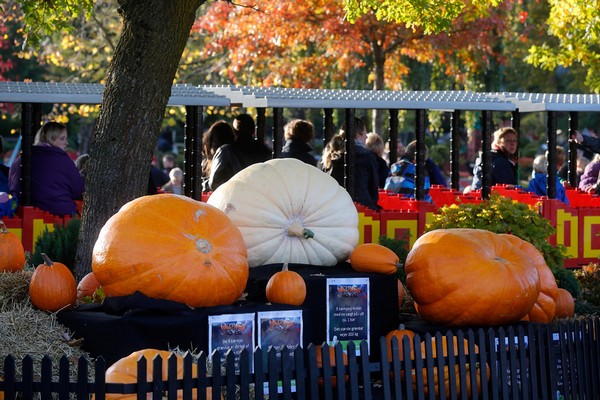 Toussaint et Halloween à Zagreb, Cracovie ou Copenhague !