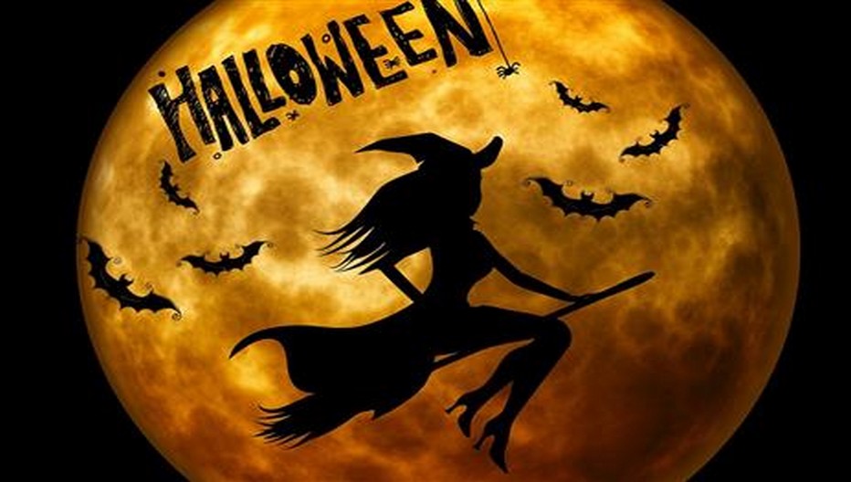 Toussaint et Halloween à Zagreb, Cracovie ou Copenhague ! Toussaint et Halloween à Zagreb, Cracovie ou Copenhague !