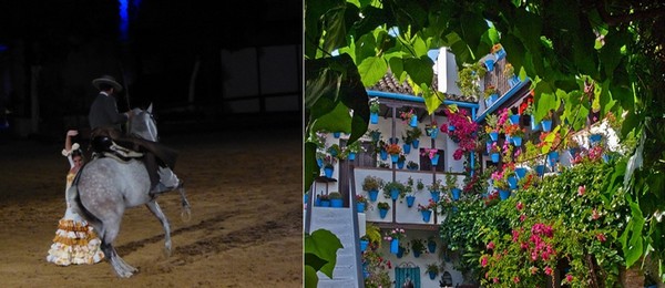 Une des figures du spectacle de chevaux andalous; Le patio magnifiquement coloré de l'Hôtel Cordoba****  © C.Gary Une des figures du spectacle de chevaux andalous; Le patio magnifiquement coloré de l'Hôtel Cordoba****  © C.Gary