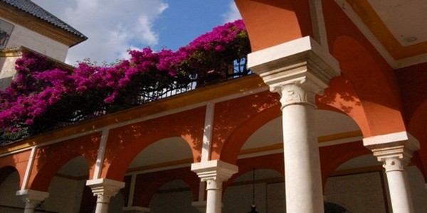 Au-dessus des colonnades un amoncellement de fleurs.  © Lindigomag/Pixabay.com Au-dessus des colonnades un amoncellement de fleurs.  © Lindigomag/Pixabay.com