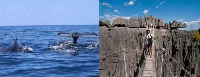De gauche à droite : Baleines au large du Cap Ste Marie  © ONTM; Tsingy de Bemarana © ONTM