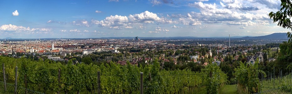 Vienne est une région viticole à part entière, avec quelque 700 hectares de vignes (raisins blancs à environ 80). © Lindigomag/Pixabay Vienne est une région viticole à part entière, avec quelque 700 hectares de vignes (raisins blancs à environ 80). © Lindigomag/Pixabay