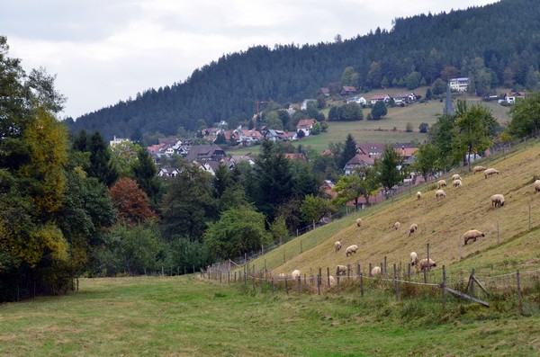 Baiersbronn situé dans la province du Bade-Wurtemberg, entre Strasbourg et Stuttgart, un endroit idéal pour se ressourcer.© David Raynal