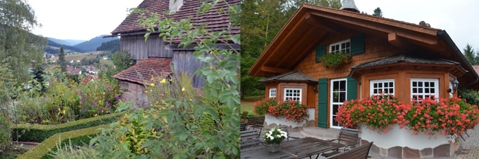 La ferme Morlokhof (à gauche) aujourd'hui propriété du Bareiss abritait autrefois une famille de guérisseurs. © David Raynal La ferme Morlokhof (à gauche) aujourd'hui propriété du Bareiss abritait autrefois une famille de guérisseurs. © David Raynal