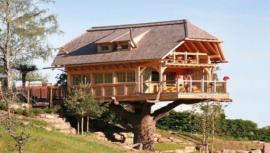 A l'hôtel Tanne, le sauna du chalet dans les arbres peut accueillir jusqu'à 30 personnes.© David Raynal A l'hôtel Tanne, le sauna du chalet dans les arbres peut accueillir jusqu'à 30 personnes.© David Raynal