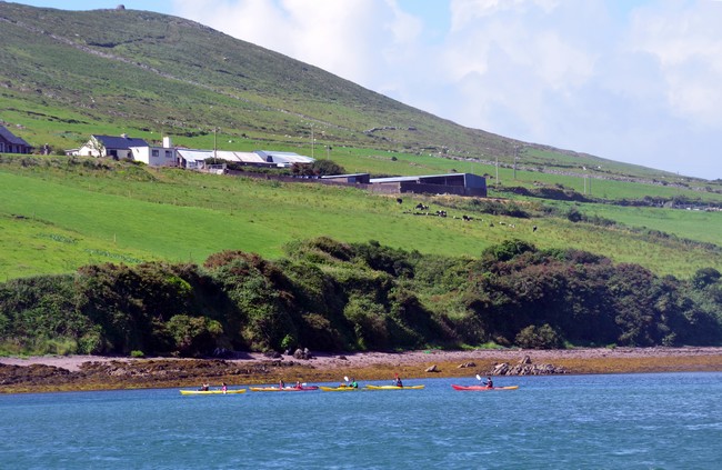 Niché entre l’océan Atlantique, Dingle s'est réfugié au fond d’un charmant port naturel© David Raynal