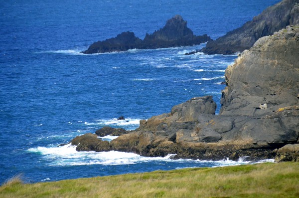 Irlande : Dingle pour les fines gueules