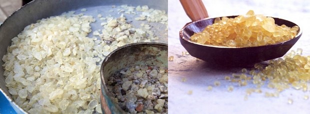 Le mastic est employé en pâtisserie, en confiserie, en cosmétique, pour ses qualités médico-pharmaceutiques, les soins dentaires, la fabrication de pommades et d’emplâtres, dans le domaine des beaux-arts ou pour la fabrication de liqueurs. Crédit photo D.R. Le mastic est employé en pâtisserie, en confiserie, en cosmétique, pour ses qualités médico-pharmaceutiques, les soins dentaires, la fabrication de pommades et d’emplâtres, dans le domaine des beaux-arts ou pour la fabrication de liqueurs. Crédit photo D.R.