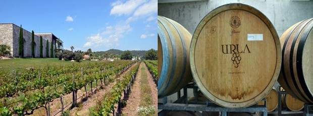 Des itinéraires découverte sont ainsi proposés aux voyageurs, pour rencontrer les producteurs de vin de la région et déguster les cépages autochtones, Bornova Misketi ou encore Urla Karasi. Crédit photo David Raynal Des itinéraires découverte sont ainsi proposés aux voyageurs, pour rencontrer les producteurs de vin de la région et déguster les cépages autochtones, Bornova Misketi ou encore Urla Karasi. Crédit photo David Raynal
