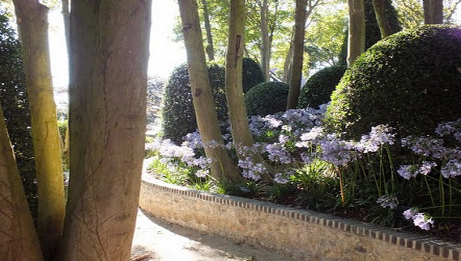 Mis à part les arbres centenaires de Madame Thébault, tous les végétaux ont été apportés : 35 000 ont été plantés sur 7 000 m². Essentiellement des ifs, des osmanthes, des houx, des fusains, des buis. Les fleurs sont rares, quelques agapanthes bleues, des camélias et des azalée. © Les Jardins d'Etretat Mis à part les arbres centenaires de Madame Thébault, tous les végétaux ont été apportés : 35 000 ont été plantés sur 7 000 m². Essentiellement des ifs, des osmanthes, des houx, des fusains, des buis. Les fleurs sont rares, quelques agapanthes bleues, des camélias et des azalée. © Les Jardins d'Etretat