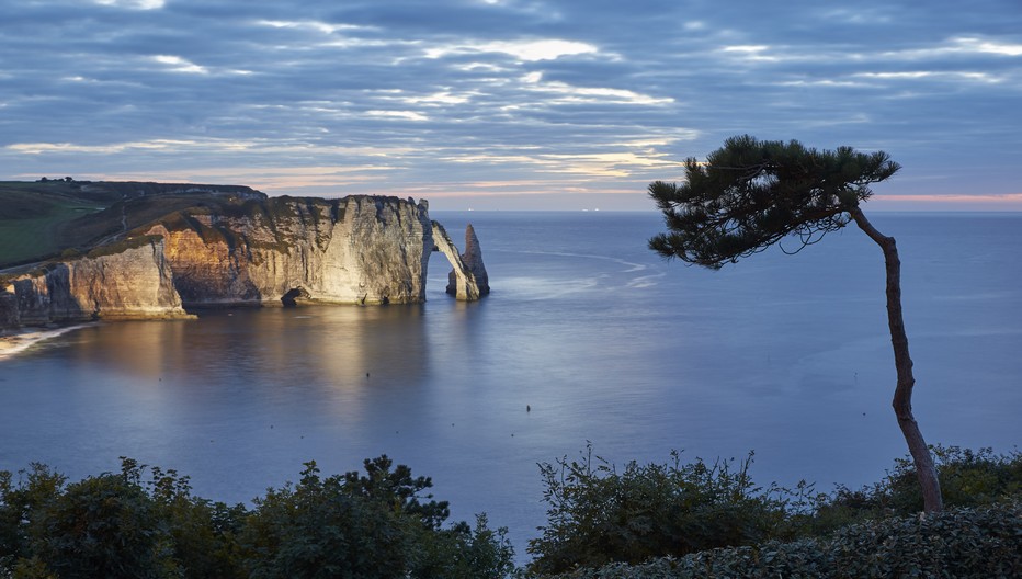 Suspendu sur sa falaise fasse à l'Aiguille, le jardin extraordinaire d’Etretat . © Jardin d'Etretat Suspendu sur sa falaise fasse à l'Aiguille, le jardin extraordinaire d’Etretat . © Jardin d'Etretat