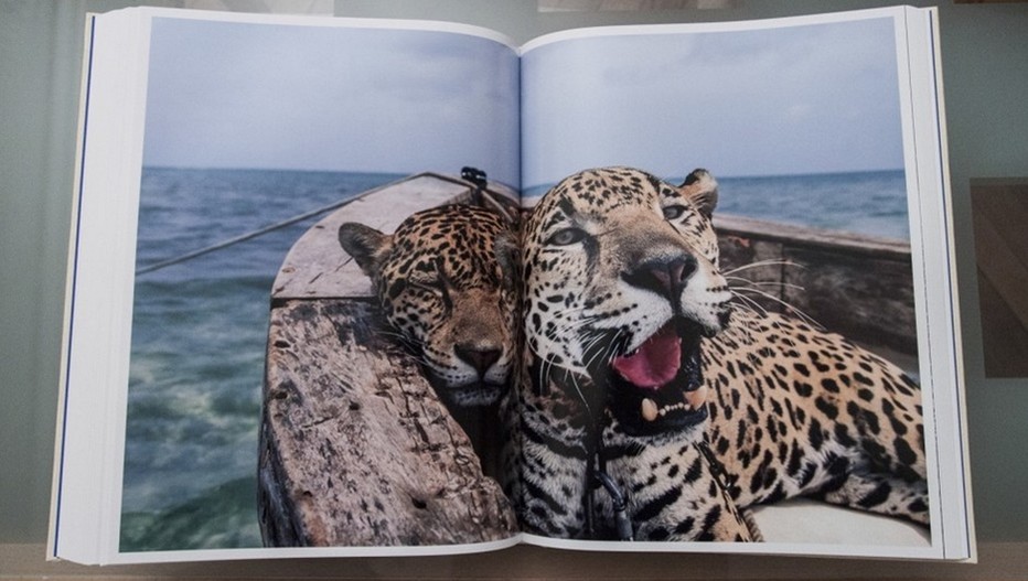 La légende National Géographic, 125 ans d’exploration et de voyages ©  National Geographic