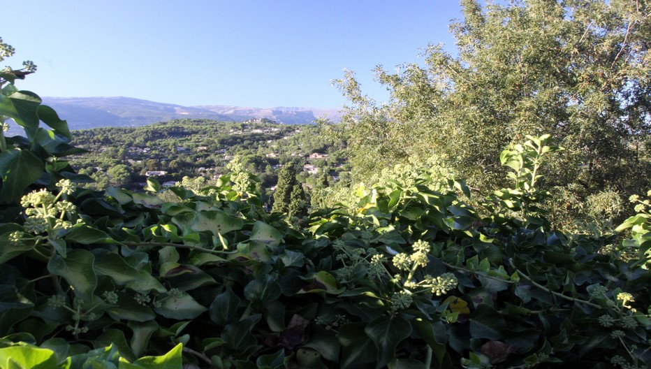 Mougins, art et gastronomie sur la French Riviera