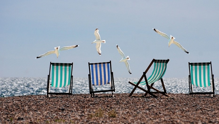 Avec l’été l’humeur change. Sous le soleil on s’allège et on se met au vert.