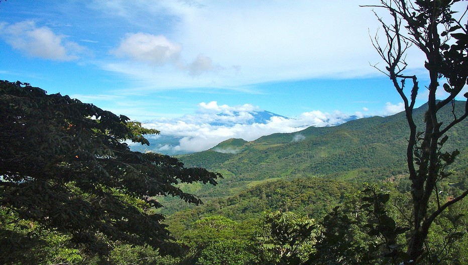 Entre jungle et volcans, le Panama possède l’une des natures les plus riches de la planète. © Lindigomag/Pixabay