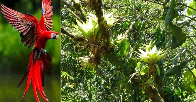 Ecotourisme et biodiversité - Bienvenue au  Panama !