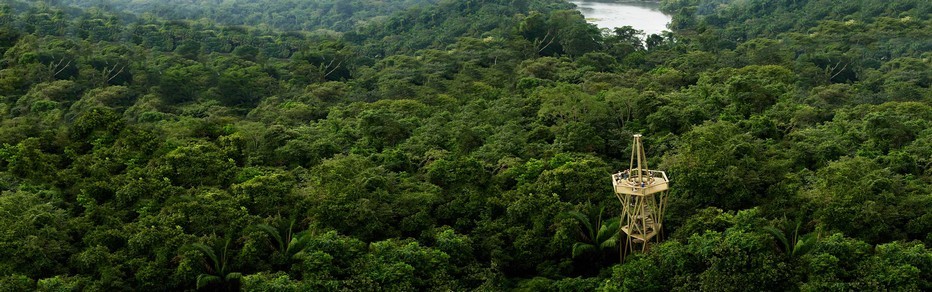 Le Parc national de Soberania est le rendez-vous incontesté des passionnées de la biosphère © Visitpanama Le Parc national de Soberania est le rendez-vous incontesté des passionnées de la biosphère © Visitpanama
