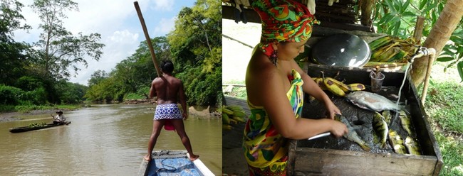 balade en pirogue sur le rio Chagres  qui permet de passer une journée au village des Embera Quera, une communauté indienne très accueillante chez qui vous pouvez déjeuner de poisson frais pêché, de fruits et de bananes plantain.© C.Gary