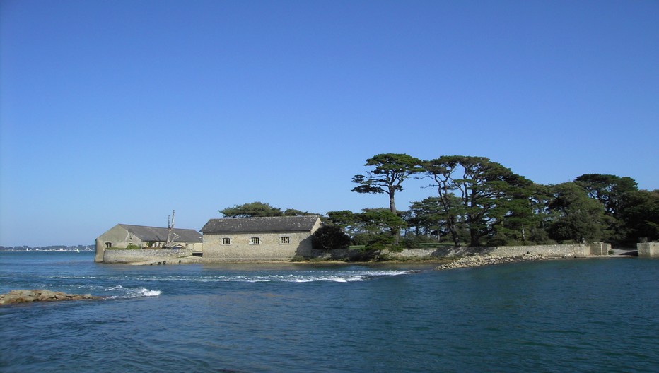 Le Golfe du Morbihan, un environnement protégé entre landes et marais .© C.Gary