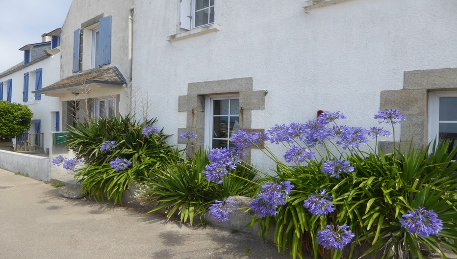 Roscoff, le charme et le caractère d’une ancienne ville corsaire