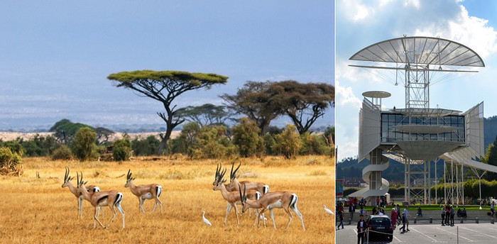 Les gazelles caracolent en toute liberté dans le magnifique parc Kruger en Afrique du Sud; Tour de la Liberté à Saint-Dié-des-Vosges. Copyright Lindigomag/Pixabay et David Raynal