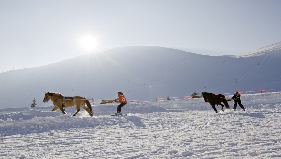 Dans le cadre des vacances à la neige, il est possible de  pratiquer un ski de qualité en s’initiant en toute tranquillité à tous les types de glisse dont comme sur la photo le Ski Joering, puis le ski nordique, snowboard, freerando, freeride, freestyle, ski de randonnée etc.. Copyright DR