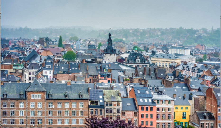 La ville de Namur, la capitale wallonne vue de la citadelle. Crédit photo Anibal Trejo.