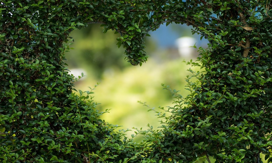 La Saint Valentin, un rituel à ne pas manquer !