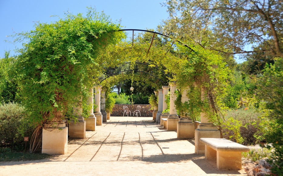 Jardin Antique Mediterranéen  des Thermes de Balaruc-les-Bains ©H. Da Costa Office de Tourisme de Balaruc-les-Bains