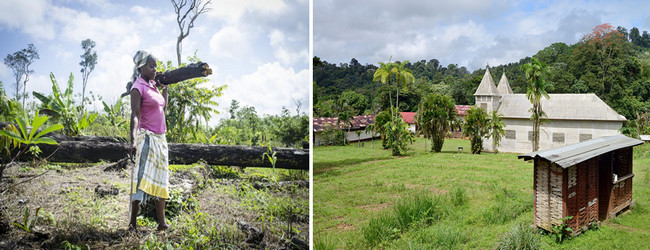 Un patrimoine extraordinaire, la biodiversité du Parc Amazonien de Guyane 