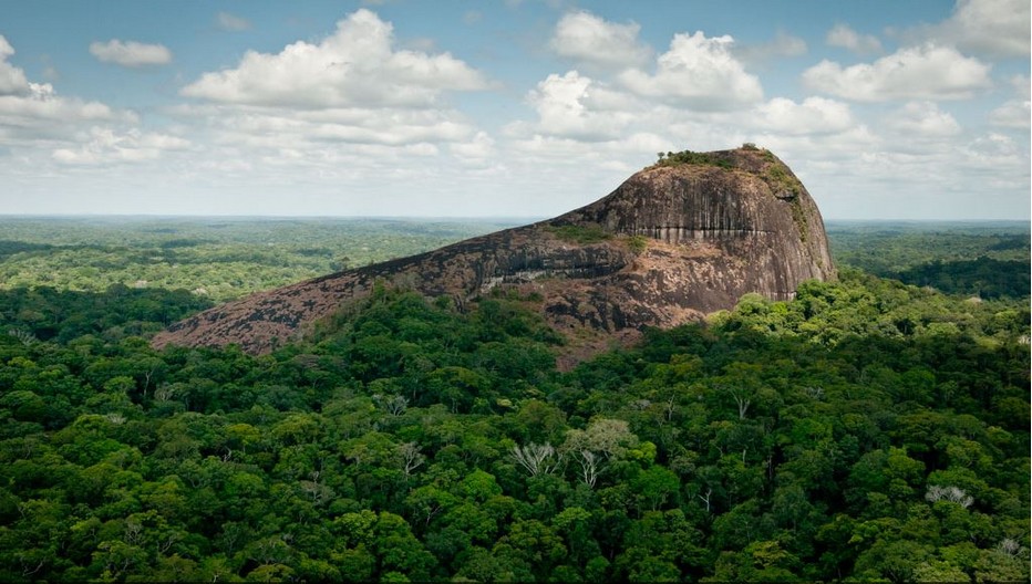 Un patrimoine extraordinaire, la biodiversité du Parc Amazonien de Guyane 