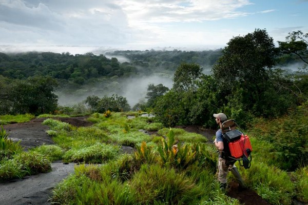 La France et l'Union européenne prennent très au sérieux l’énorme responsabilité qu’ils ont pour assurer la préservation de cet  de forêt amazonienne  © G.FeuilletPAG