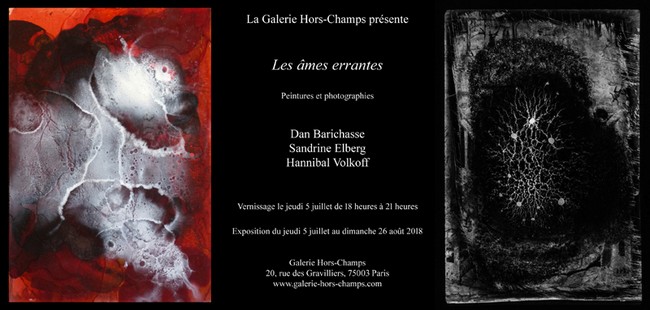 Daniel Barichasse à la Galerie Hors-Champs Daniel Barichasse à la Galerie Hors-Champs