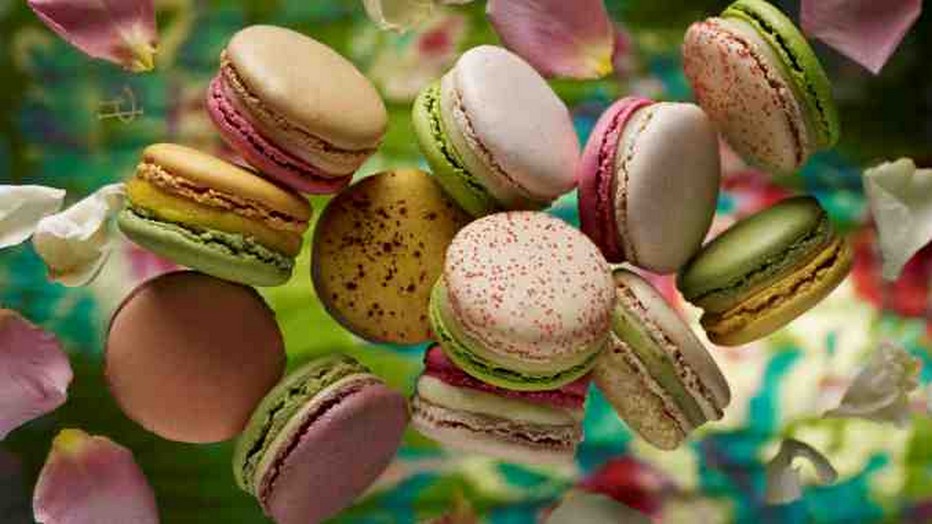 Tout le talent et la créativité de Pierre Hermé pour ses macarons... Copyright P.H. Tout le talent et la créativité de Pierre Hermé pour ses macarons... Copyright P.H.
