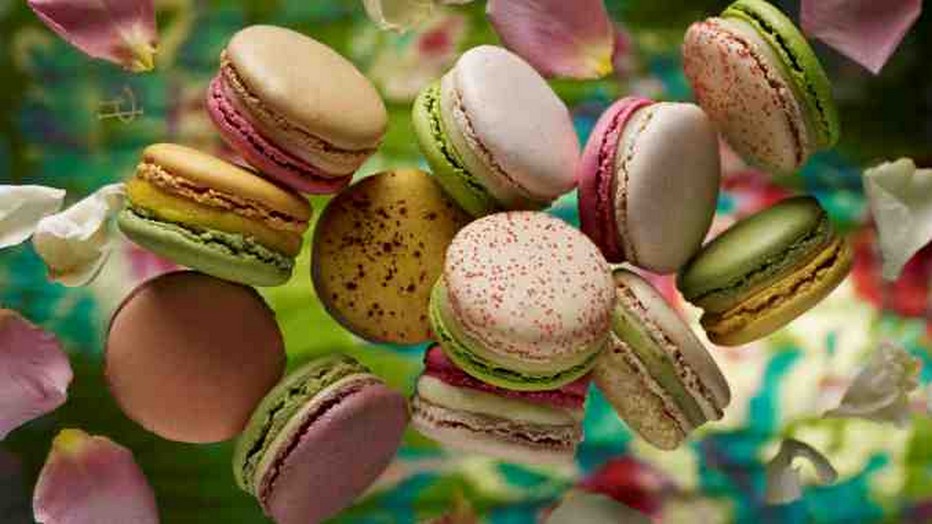 Tout le talent et la créativité de Pierre Hermé pour ses macarons... Copyright P.H.