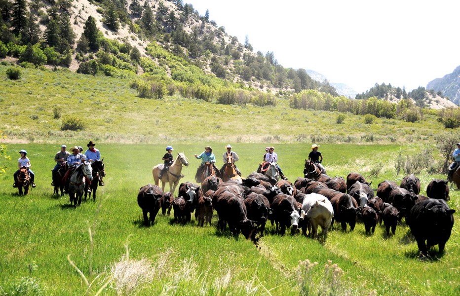 Démesure de reliefs sur plus de 1000 km2 avec la plus grosse concentration d’ours noirs et de pumas de tout le pays, le High Lonesome Ranch est une expérience à lui  seul. Copyright X.Bonnet