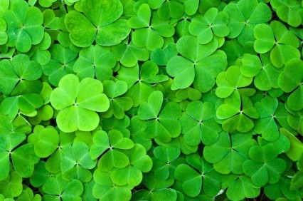 La St Patrick dans le monde La St Patrick dans le monde