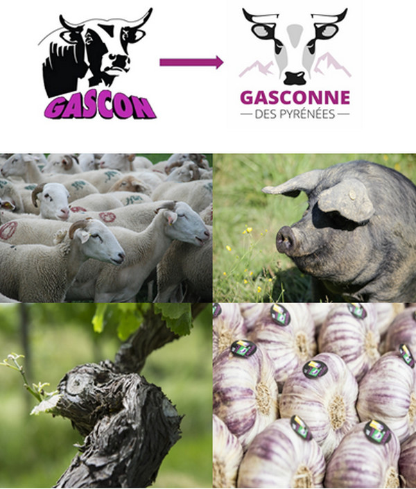 Depuis le 23 février et jusqu'au dimanche 3 mars, la Haute-Garonne est présente au Salon International de l'Agriculture, Porte de Versailles à Paris, pour présenter sur son stand les six filières d’excellence de son terroir. @ DR Depuis le 23 février et jusqu'au dimanche 3 mars, la Haute-Garonne est présente au Salon International de l'Agriculture, Porte de Versailles à Paris, pour présenter sur son stand les six filières d’excellence de son terroir. @ DR