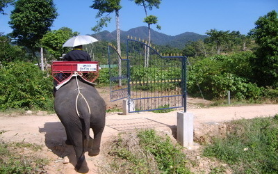 la Ferme des Eléphants sur l'île de Koh Chang (Crédit photo Kim Frossard)
