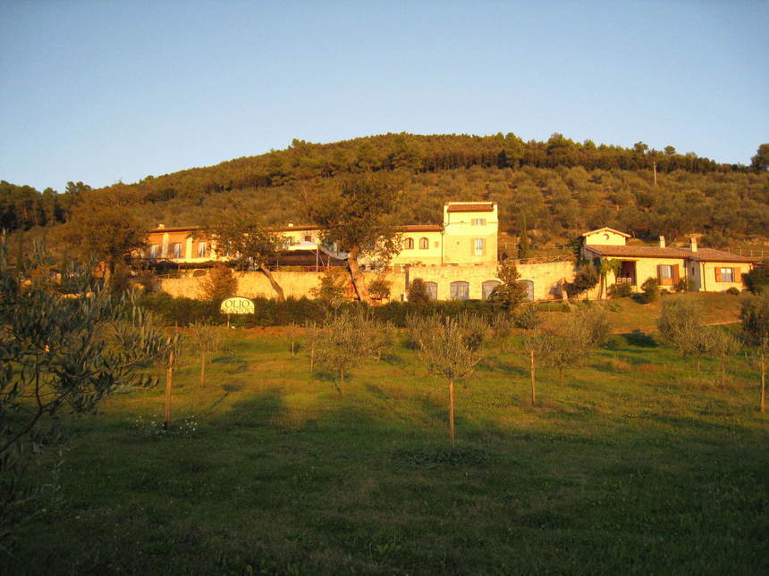 domaine Monini en Ombrie domaine Monini en Ombrie