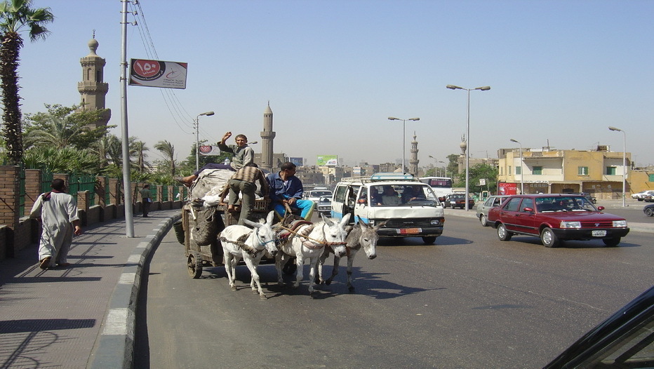 scène de la vie quotidienne au Caire