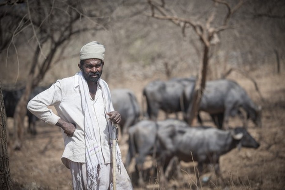 Gujarat, une Inde fascinante et secrète