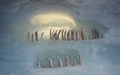 Galerie de glace dans le glacier des Fées