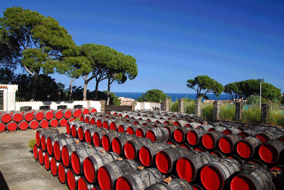 Barriques en extérieur Terres des Templiers  @-Damien Malejacq