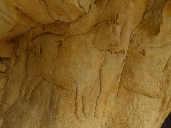 Le Roc-aux-Sorciers est un abri sous roche au pied des falaises de la Douce sur la rive droite de l'Anglin . @ C.Gary